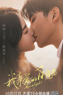 湛江seo优化厂家电话